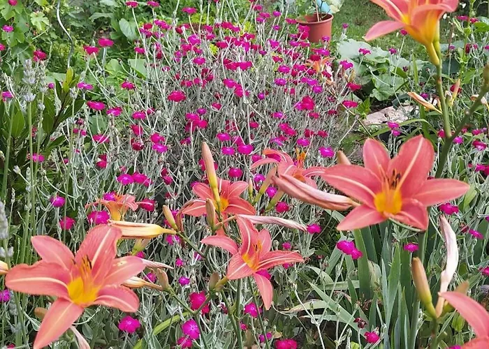 Les Lilas Feriehus